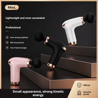 Optistrivefit®️ OptiPulse Recovery Mini Massage Gun